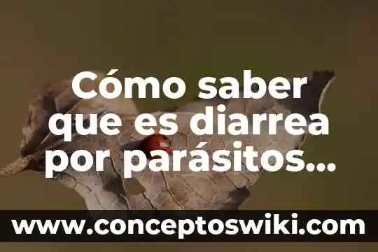 Qué es bueno para el mordido de los bebés 6 Cómo saber que es diarrea por parásitos en bebés