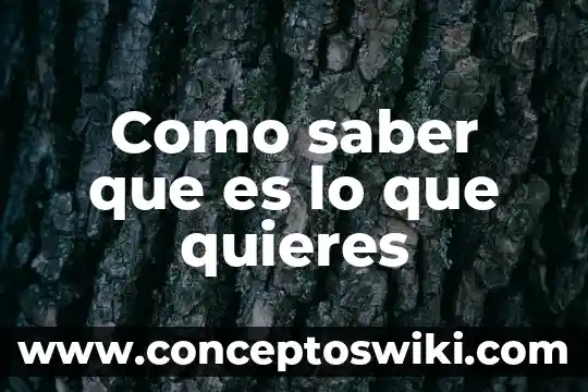 Ingresar número de póliza para saber de qué es 6 Como saber que es lo que quieres
