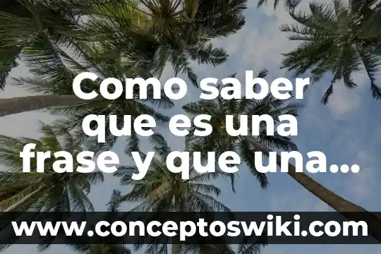 Ingresar número de póliza para saber de qué es 4 Como saber que es una frase y que una oracion