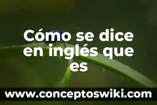 Cuando dice que es bi pero es activo 7 Cómo se dice en inglés que es