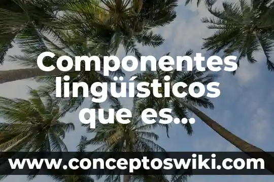 Que es significado concepto 4 Componentes lingüísticos que es significado y concepto