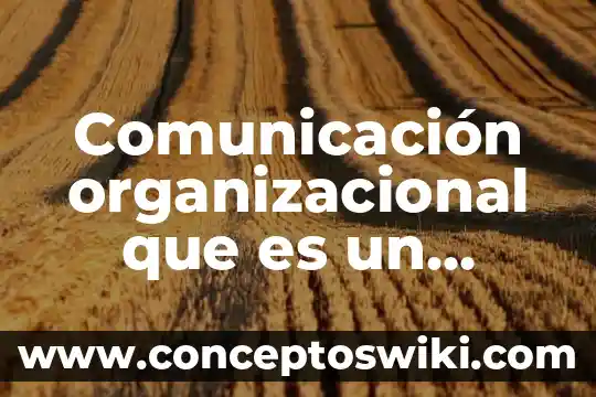 Qué es un diagnóstico diferencial enfermería 4 Comunicación organizacional que es un diagnóstico