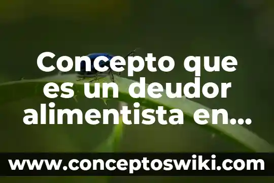 Qué es un deudor y un acreedor en contabilidad 3 Concepto que es un deudor alimentista en derecho mexicano