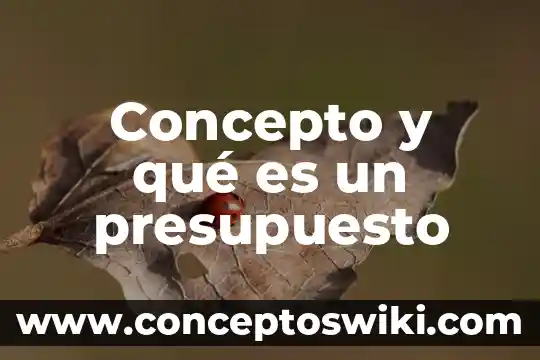 Que es paleolitico concepto 3 Concepto y qué es un presupuesto