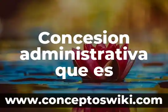 Que es una metáfora administrativa 3 Concesion administrativa que es