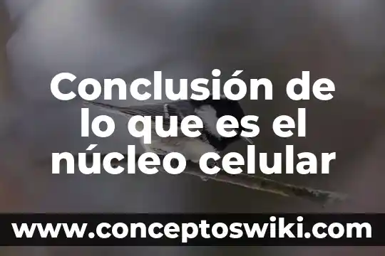Célula vegetal núcleo que es y como funciona 3 Conclusión de lo que es el núcleo celular