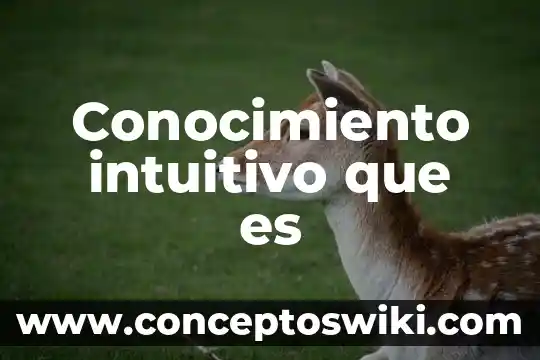 Que es conocimiento en griego 8 Conocimiento intuitivo que es