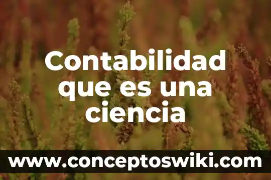 Que es ciencia segun perez gomez 4 Contabilidad que es una ciencia