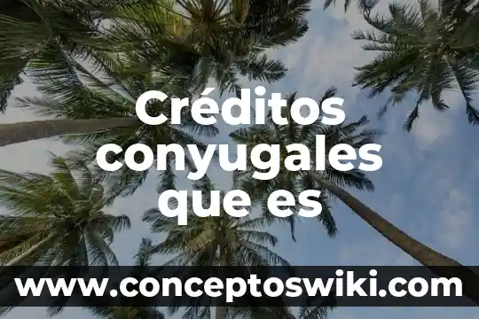 Informe que es autores 8 Créditos conyugales que es