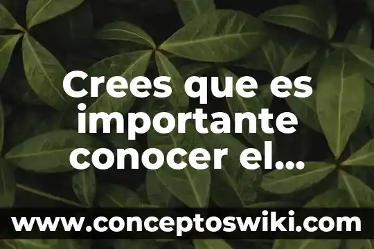 Por que crees que es importante la programasion 5 Crees que es importante conocer el sustento legal y normativo