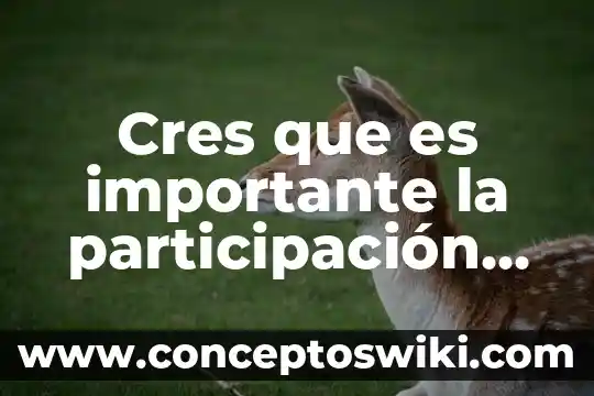 Que es la participacion civil 3 Cres que es importante la participación ciudadana