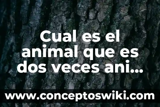 Dos veces que es el amor 4 Cual es el animal que es dos veces ani aml