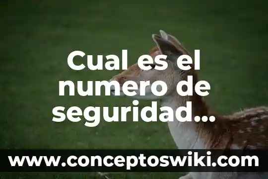 ¿Qué es el número de operación? 5 Cual es el numero de seguridad social que es