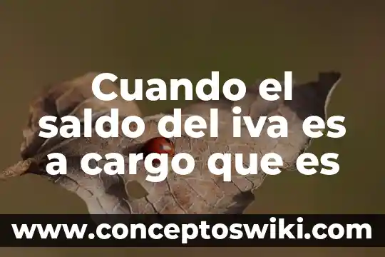 Que es el cargo contexto contable 3 Cuando el saldo del iva es a cargo que es