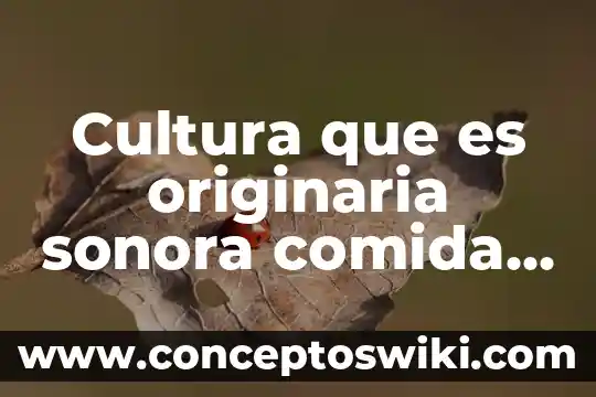 Que es flop en musica 5 Cultura que es originaria sonora comida y musica