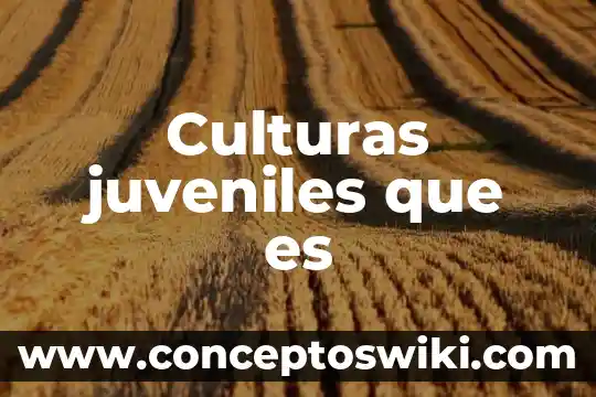 ¿Qué es culturas emergentes? 6 Culturas juveniles que es
