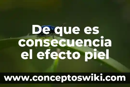 Qué es causa y que es consecuencia 5 De que es consecuencia el efecto piel