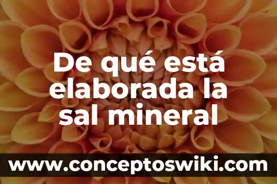 Para que es esta medicina metoclopramida 8 De qué está elaborada la sal mineral