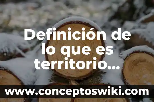 Que es el embarazo en adolescentes segun la oms 5 Definición de lo que es territorio según autores