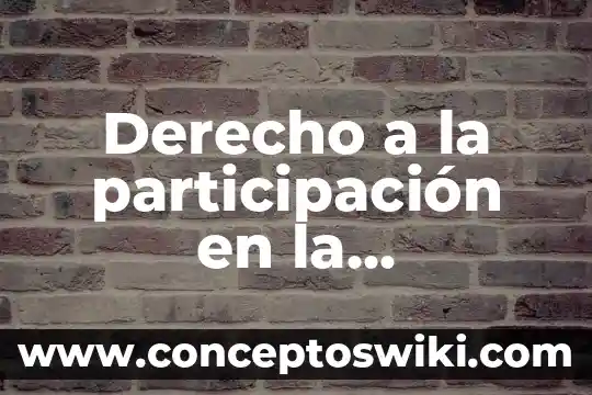 Que es la participacion civil 8 Derecho a la participación en la investigación que es