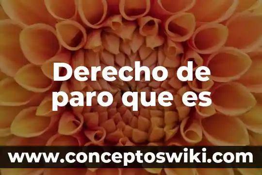 Qué es el derecho de las personas peruanas 8 Derecho de paro que es