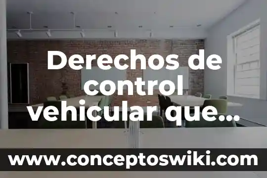 Que es el principio de universalidad en los derechos humanos 5 Derechos de control vehicular que es