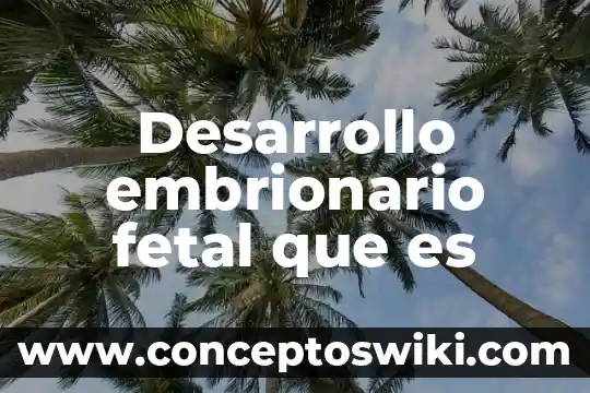 Cirugía fetal que es y para que sirve 4 Desarrollo embrionario fetal que es