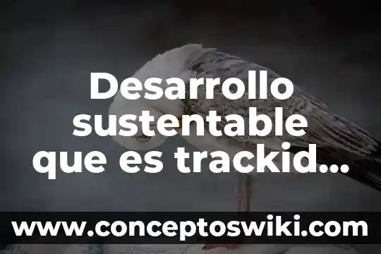 Que es la dimension social en el desarrollo sustentable 3 Desarrollo sustentable que es trackid sp-006
