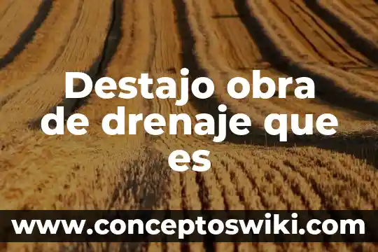 Que es la accion de una obra literaria 8 Destajo obra de drenaje que es