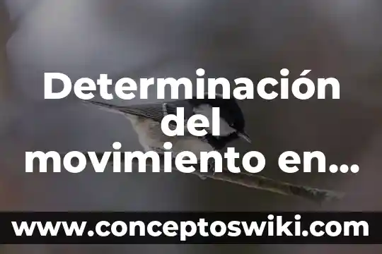 Que es la determinacion de planta en una micro empresa 5 Determinación del movimiento en dos dimensiones que es
