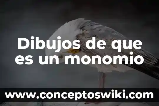 Dibujos que represente que es temperatura en la ciencia 3 Dibujos de que es un monomio