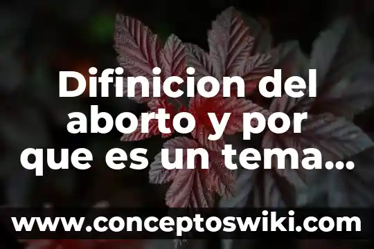 Aborto que es en embarazo tratamiento 5 Difinicion del aborto y por que es un tema importante