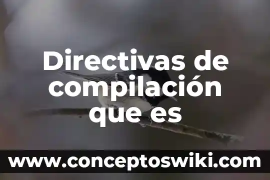 Directivas de avance que es 4 Directivas de compilación que es
