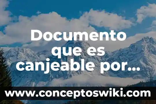 Que es documento migratorio vigente extranjeros 8 Documento que es canjeable por dinero