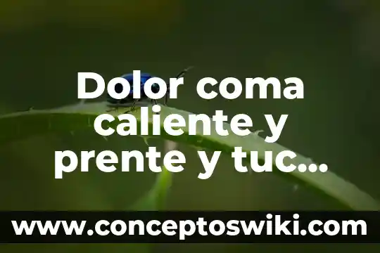Que es bueno para el dolor de diverticulitis 5 Dolor coma caliente y prente y tuc que es