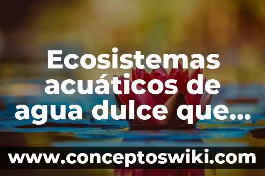 Por que es importante conservr sun alterar los ecosistemas 6 Ecosistemas acuáticos de agua dulce que es geográfica