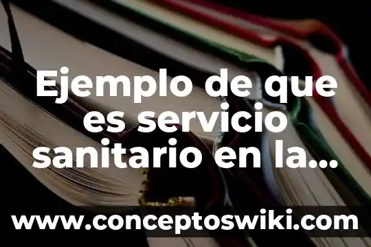 Para que es importante el agua en la vida diaria 8 Ejemplo de que es servicio sanitario en la vida diaria