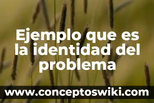 Que es problema de planificacion 7 Ejemplo que es la identidad del problema