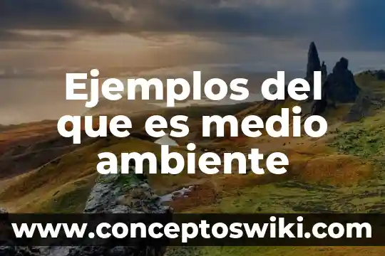 Qué es un inspector de seguridad y medio ambiente 7 Ejemplos del que es medio ambiente