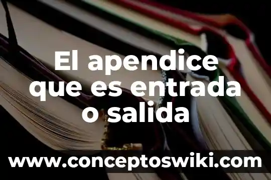 Qué es un cuadro de salida 6 El apendice que es entrada o salida