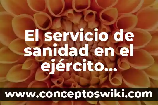 Que es alias de servicio 5 El servicio de sanidad en el ejército mexicano