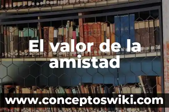 Significado que es la amistad 4 El valor de la amistad