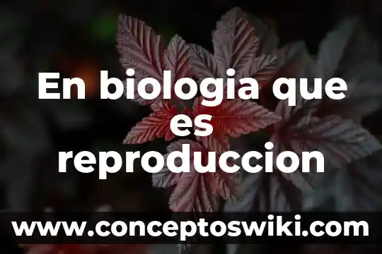 Que es la reproduccion electronica 3 En biologia que es reproduccion