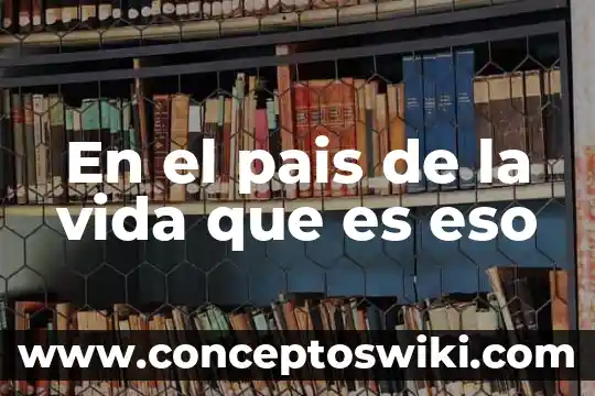 Por que es importante importar para un pais 8 En el pais de la vida que es eso