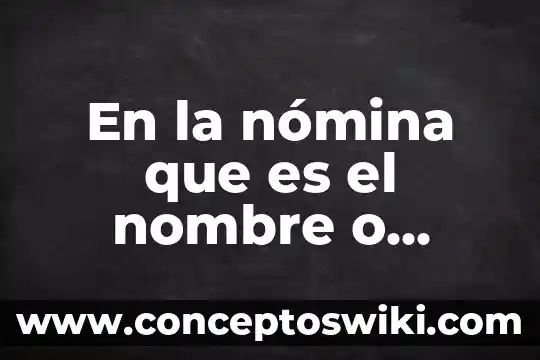 Para que es importancia llevar un control de nomina 7 En la nómina que es el nombre o razon social