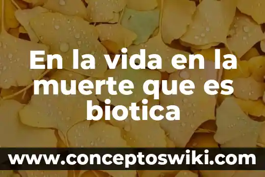 Que es el seguro de enfermedades y muerte 8 En la vida en la muerte que es biotica