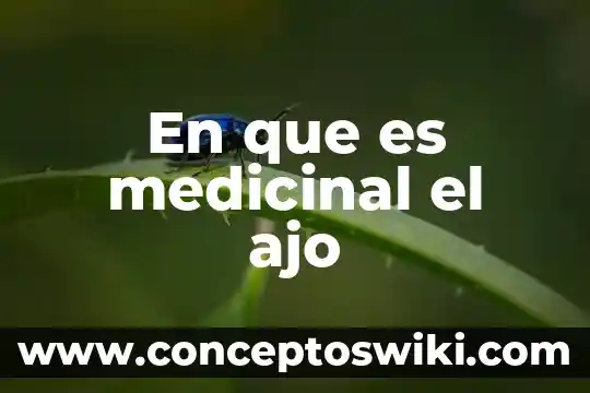 Que es el remolino como planta medicinal 7 En que es medicinal el ajo
