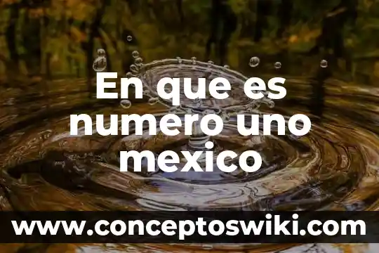 Número de afiliación voucher que es 3 En que es numero uno mexico