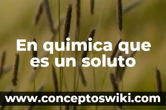 Qué es un escudo en química 7 En quimica que es un soluto