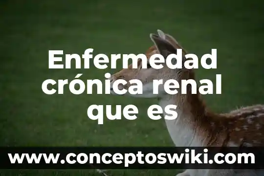 Qué es insuficiencia renal y sus tipos 3 Enfermedad crónica renal que es